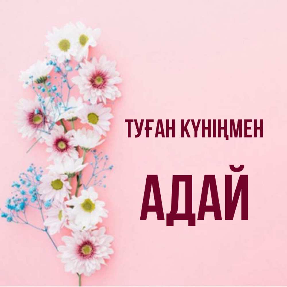 Күн сайын ашық хат с именем, Адай Туған күніңмен Родная моя с днем рождения тебя картинка с цветами белыми и голубыми Онлайн тегін жүктеп алу тілектері бар керемет карта 