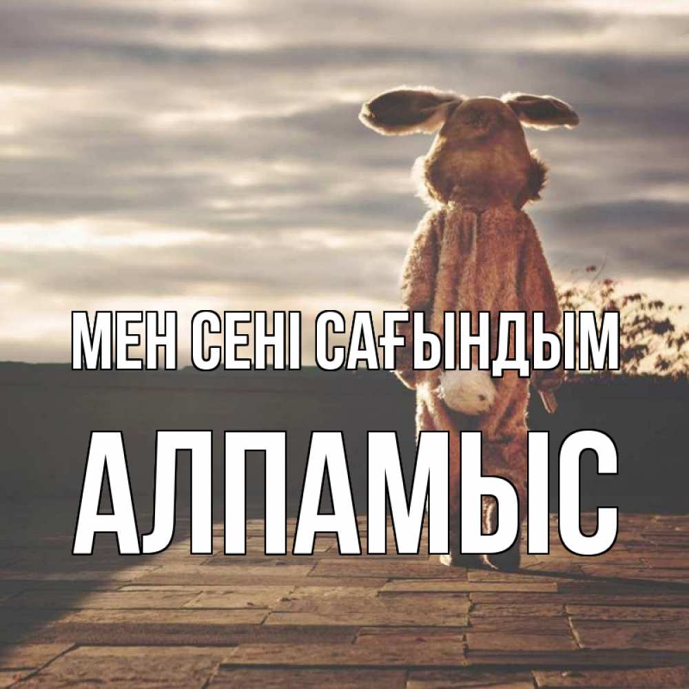 Күн сайын ашық хат с именем, Алпамыс Мен сені сағындым даже в костюме зайца Онлайн тегін жүктеп алу тілектері бар керемет карта 