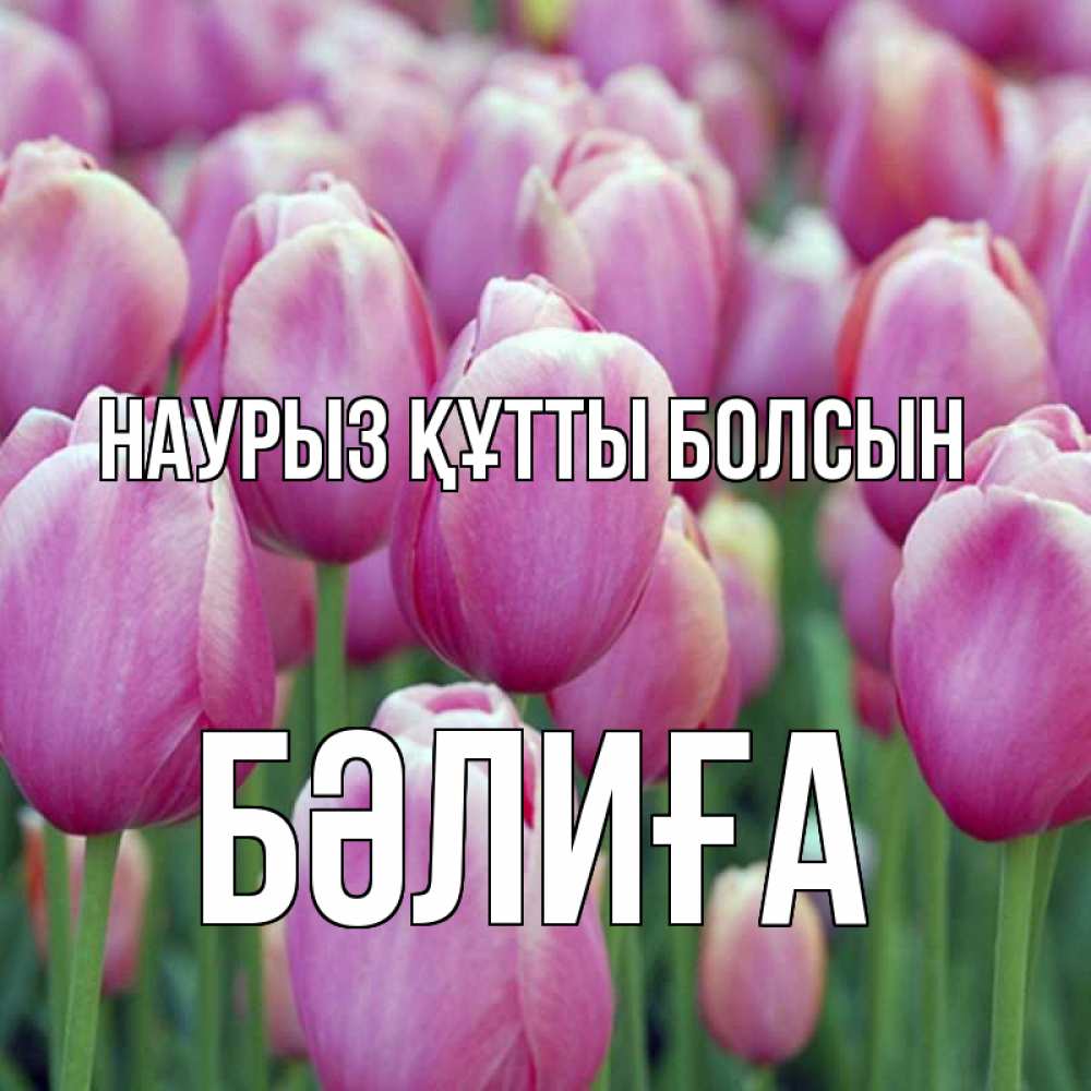 Күн сайын ашық хат с именем, БӘЛИҒА Наурыз құтты болсын на наурыз  день 3 Онлайн тегін жүктеп алу тілектері бар керемет карта 