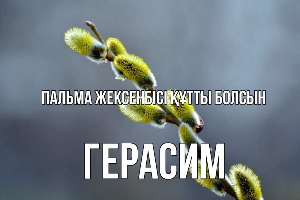 Күн сайын ашық хат с именем, Герасим Пальма жексенбісі құтты болсын верба Онлайн тегін жүктеп алу тілектері бар керемет карта 