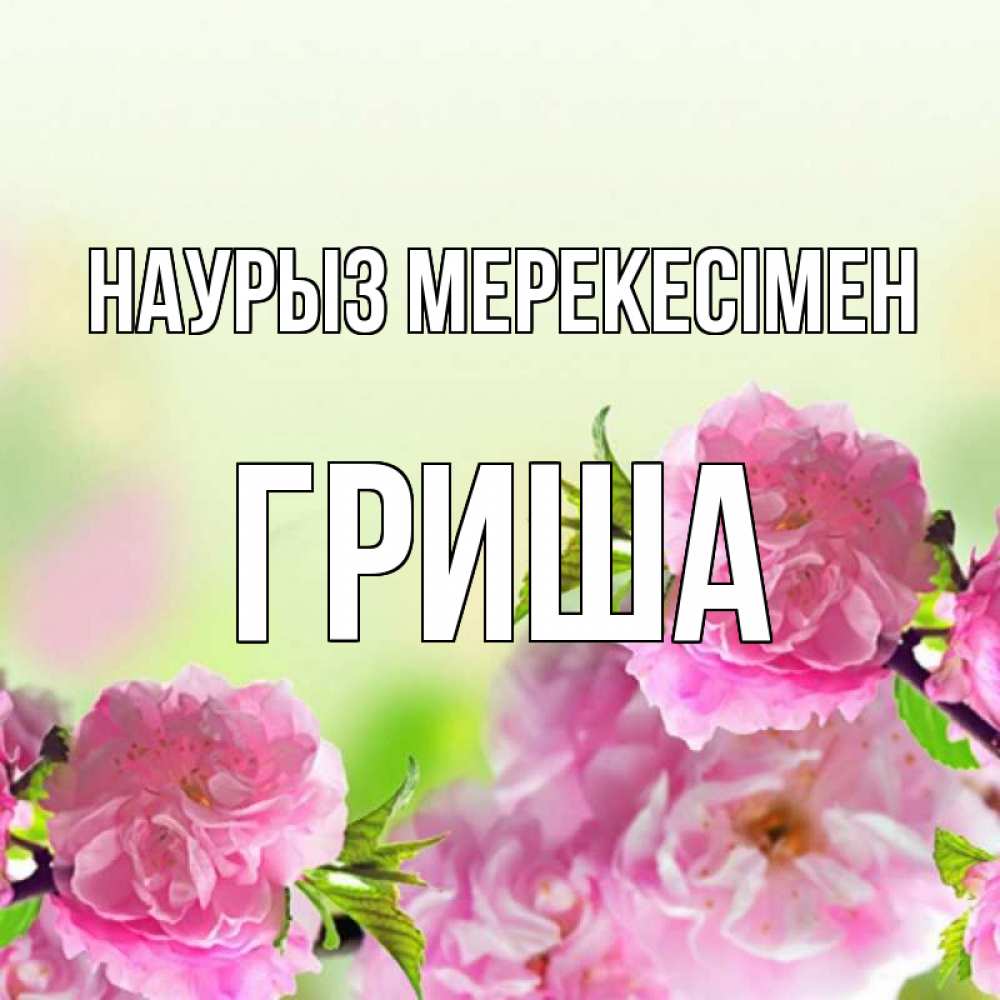 Күн сайын ашық хат с именем, Гриша Наурыз мерекесімен цветы Онлайн тегін жүктеп алу тілектері бар керемет карта 