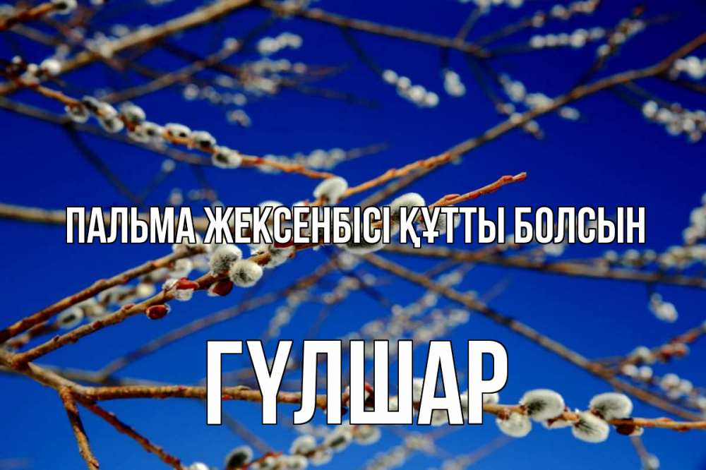 Күн сайын ашық хат с именем, ГҮЛШАР Пальма жексенбісі құтты болсын верба Онлайн тегін жүктеп алу тілектері бар керемет карта 