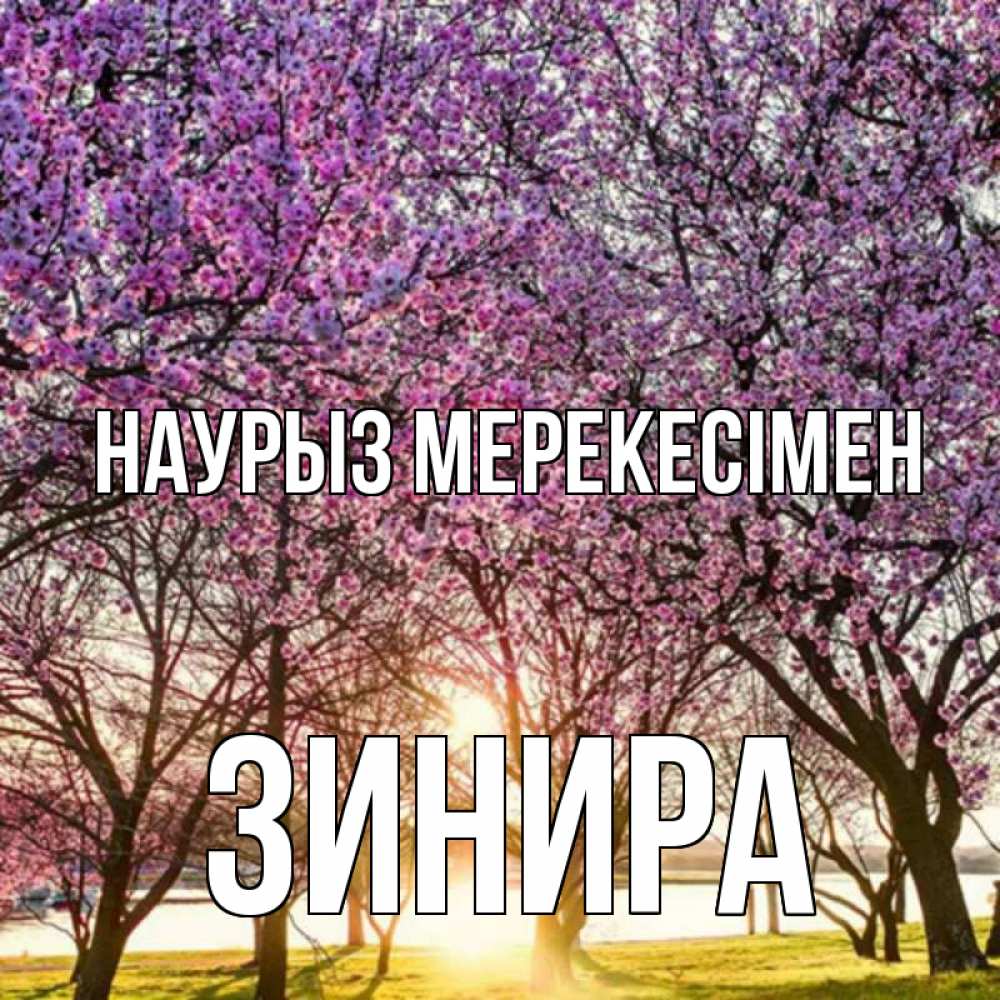 Күн сайын ашық хат с именем, ЗИНИРА Наурыз мерекесімен праздник весны наурыз Онлайн тегін жүктеп алу тілектері бар керемет карта 