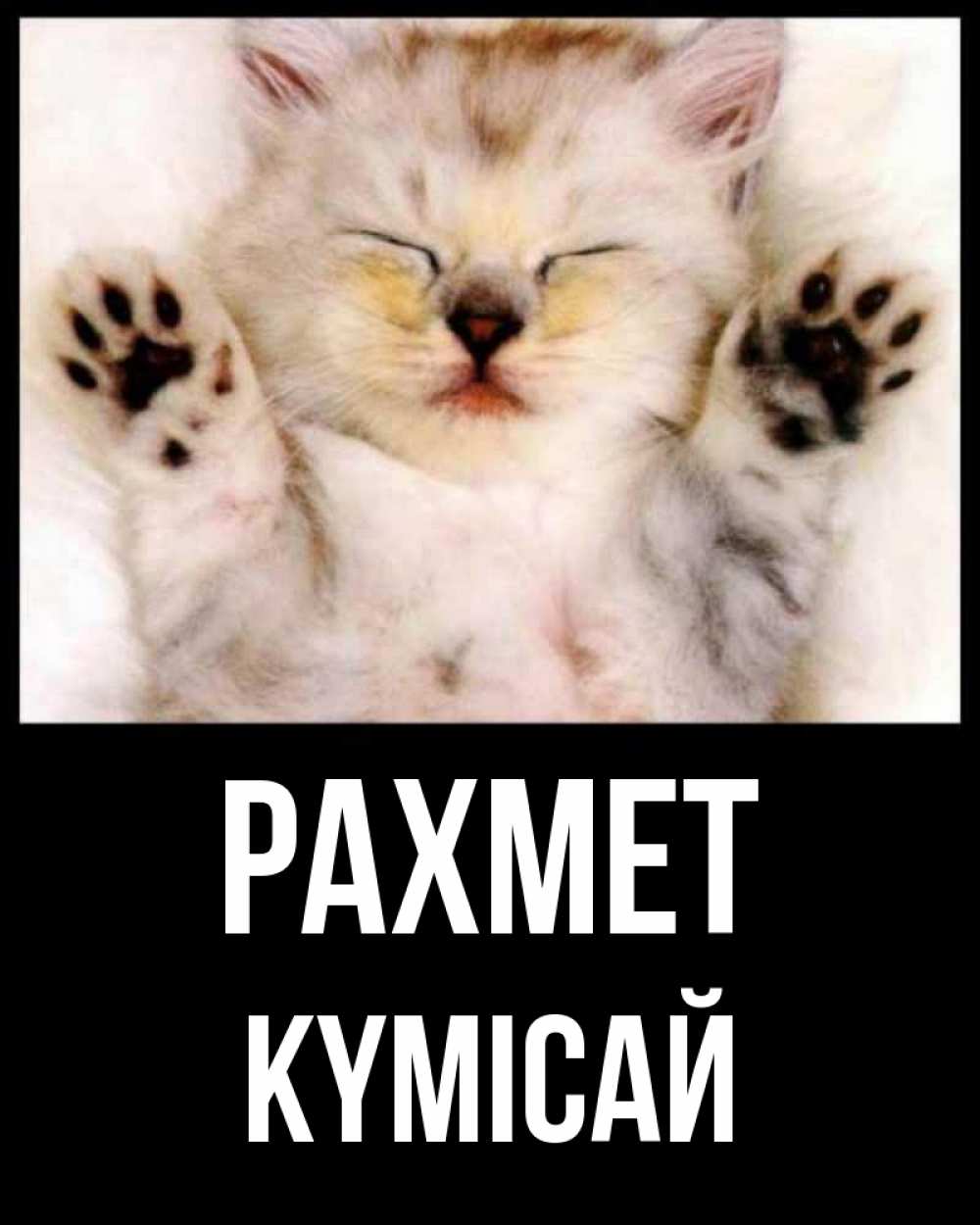Күн сайын ашық хат с именем, КҮМІСАЙ рахмет маленький котенок Онлайн тегін жүктеп алу тілектері бар керемет карта 