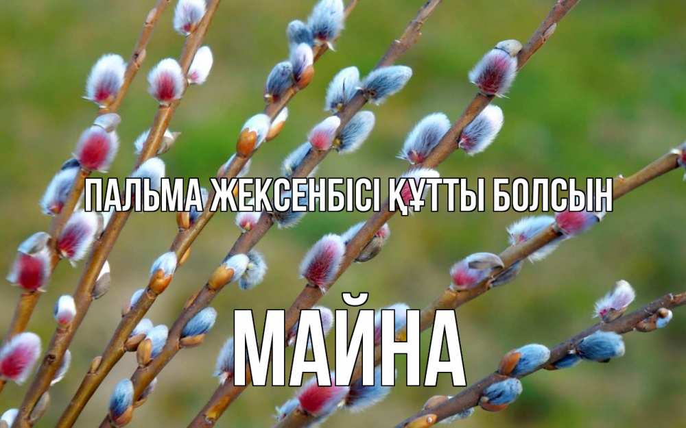 Күн сайын ашық хат с именем, МАЙНА Пальма жексенбісі құтты болсын верба Онлайн тегін жүктеп алу тілектері бар керемет карта 