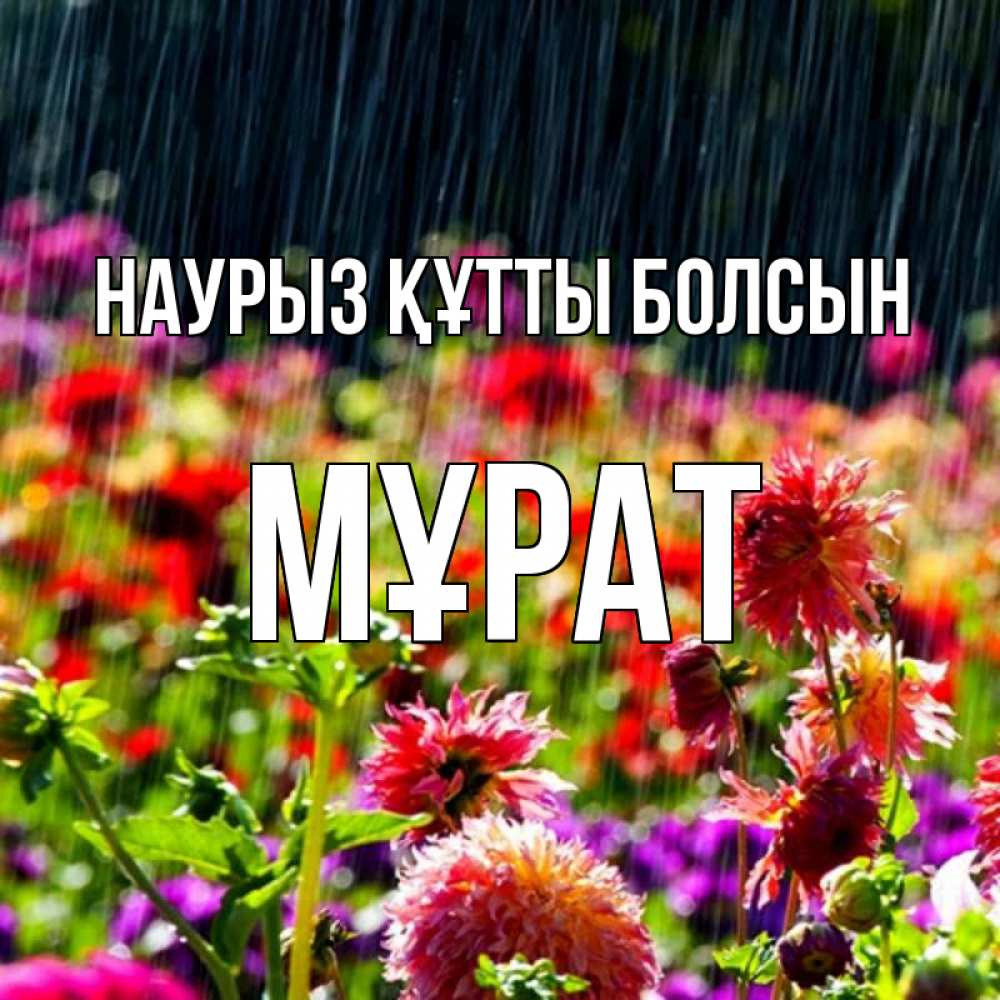Күн сайын ашық хат с именем, МҰРАТ Наурыз құтты болсын цветы под дождиком к наурызу Онлайн тегін жүктеп алу тілектері бар керемет карта 