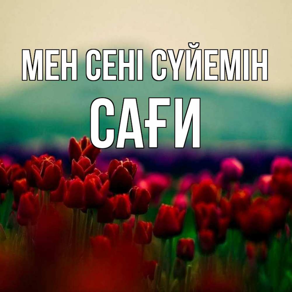 Күн сайын ашық хат с именем, САҒИ Мен сені сүйемін тюльпаны 4 Онлайн тегін жүктеп алу тілектері бар керемет карта 