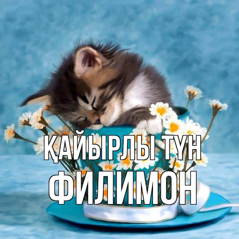 Күн сайын ашық хат с именем, Филимон Қайырлы түн котенок спит в кружке с блюдцем Онлайн тегін жүктеп алу тілектері бар керемет карта 