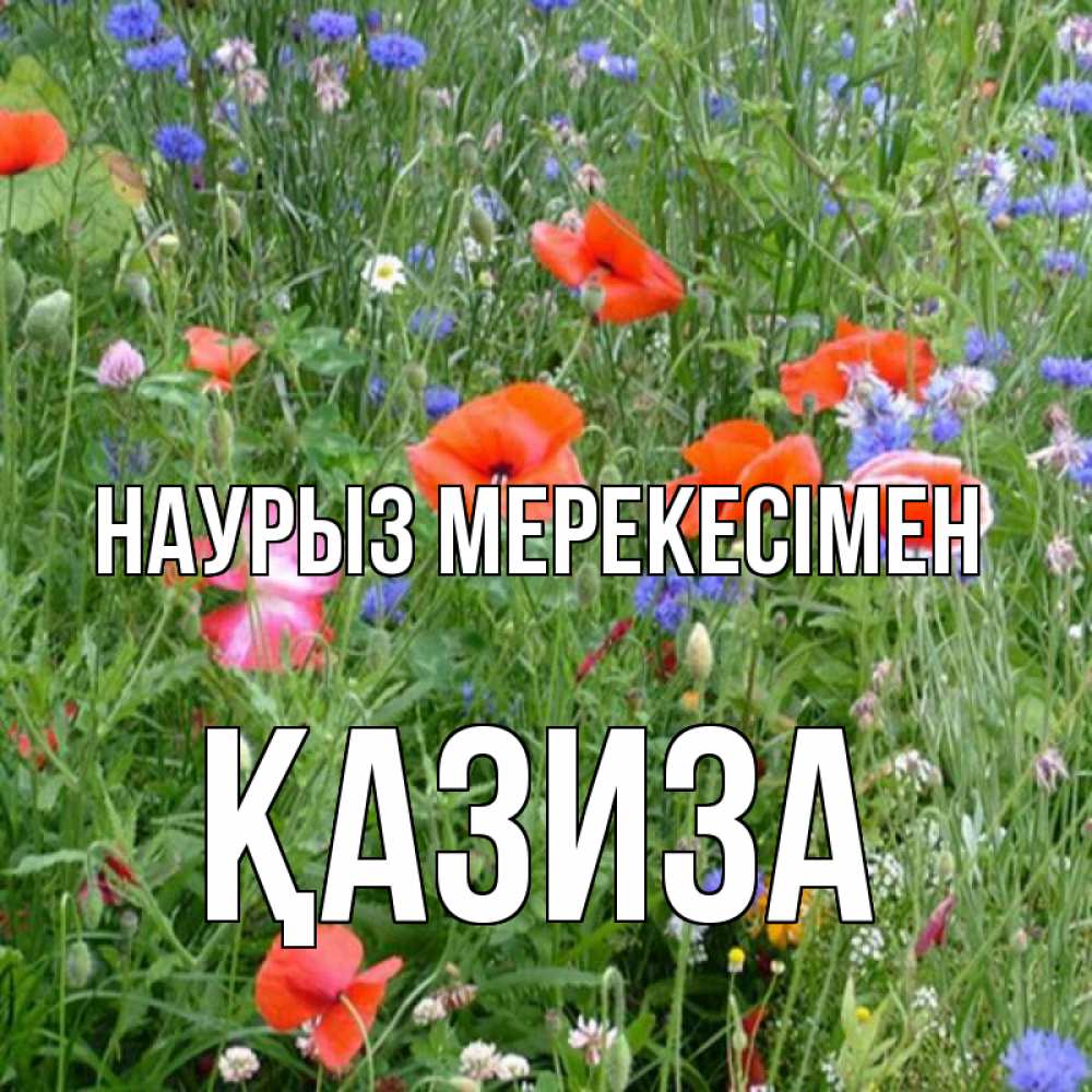 Күн сайын ашық хат с именем, ҚАЗИЗА Наурыз мерекесімен праздник весны наурыз супер открытка Онлайн тегін жүктеп алу тілектері бар керемет карта 