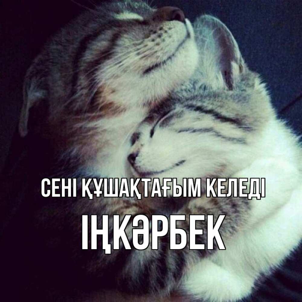 Күн сайын ашық хат с именем, ІҢКӘРБЕК сені құшақтағым келеді полосатики Онлайн тегін жүктеп алу тілектері бар керемет карта 