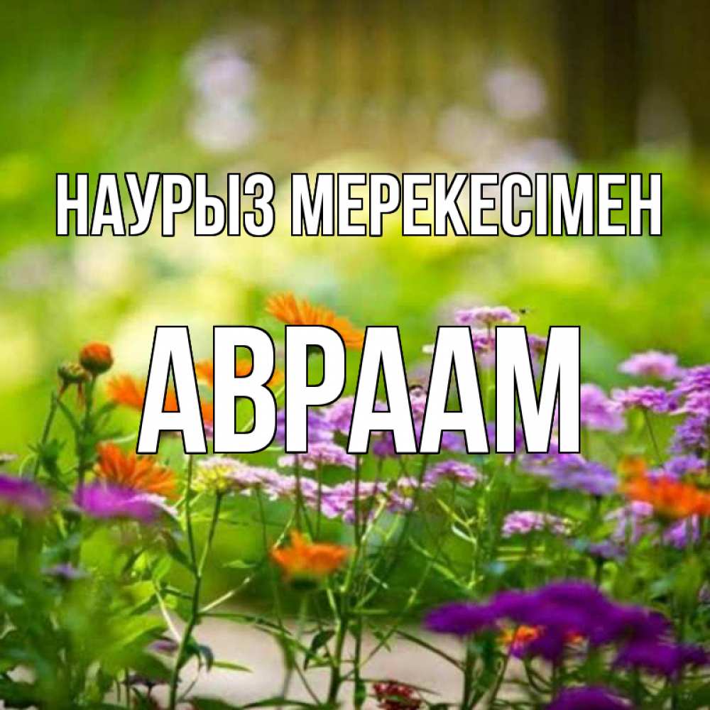 Күн сайын ашық хат с именем, Авраам Наурыз мерекесімен цветы Онлайн тегін жүктеп алу тілектері бар керемет карта 