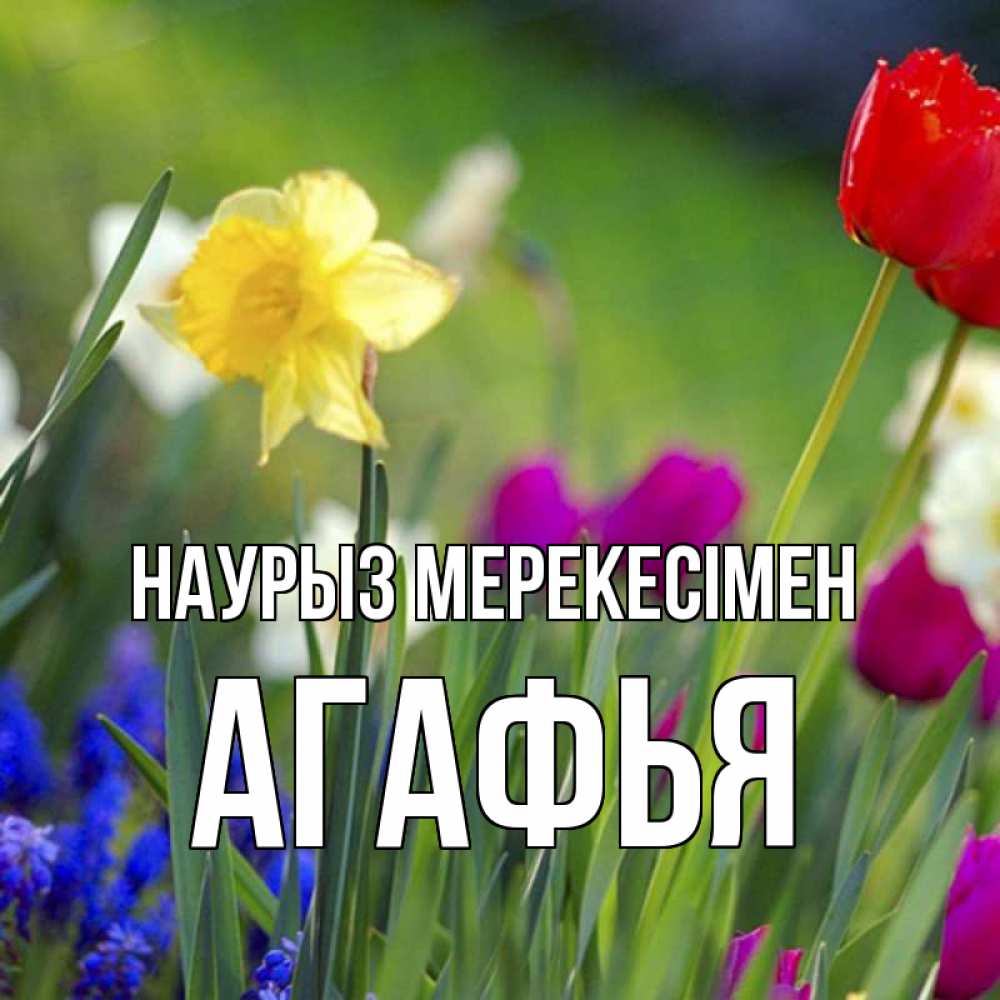 Күн сайын ашық хат с именем, Агафья Наурыз мерекесімен праздник весны наурыз 3 Онлайн тегін жүктеп алу тілектері бар керемет карта 