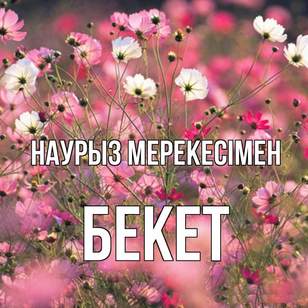 Күн сайын ашық хат с именем, Бекет Наурыз мерекесімен красиво 1 Онлайн тегін жүктеп алу тілектері бар керемет карта 