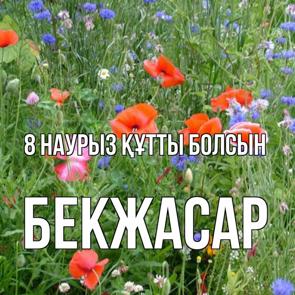 Күн сайын ашық хат с именем, Бекжасар 8 наурыз құтты болсын международный женский день 4 Онлайн тегін жүктеп алу тілектері бар керемет карта 