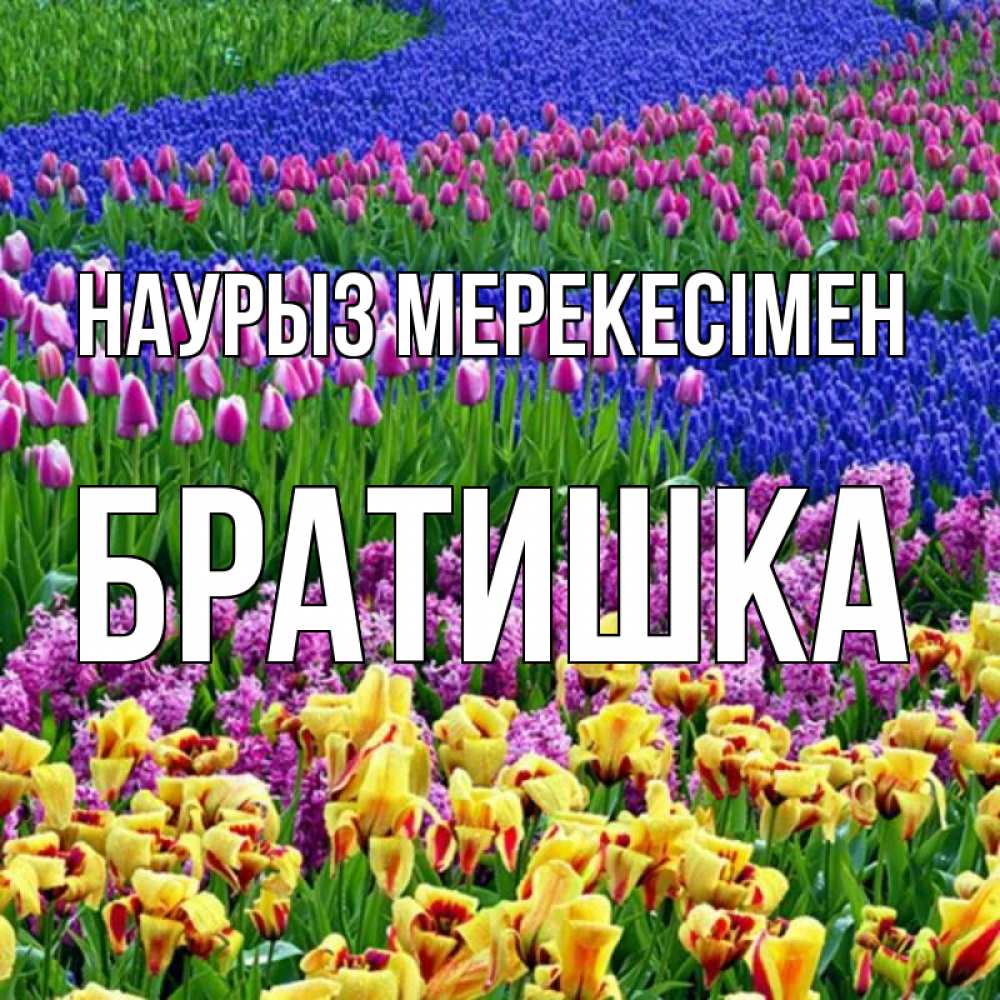 Күн сайын ашық хат с именем, Братишка Наурыз мерекесімен цветы Онлайн тегін жүктеп алу тілектері бар керемет карта 