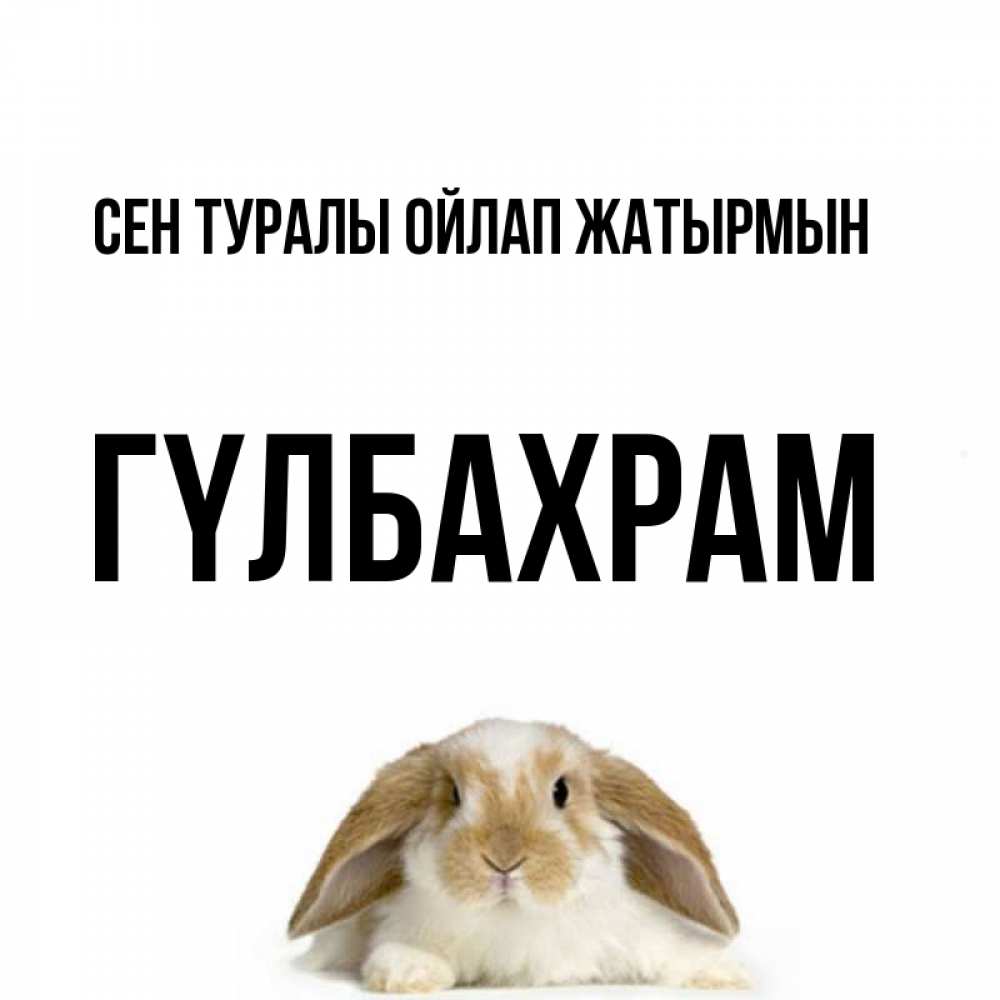 Күн сайын ашық хат с именем, ГҮЛБАХРАМ Сен туралы ойлап жатырмын подписать своими руками онлайн Онлайн тегін жүктеп алу тілектері бар керемет карта 