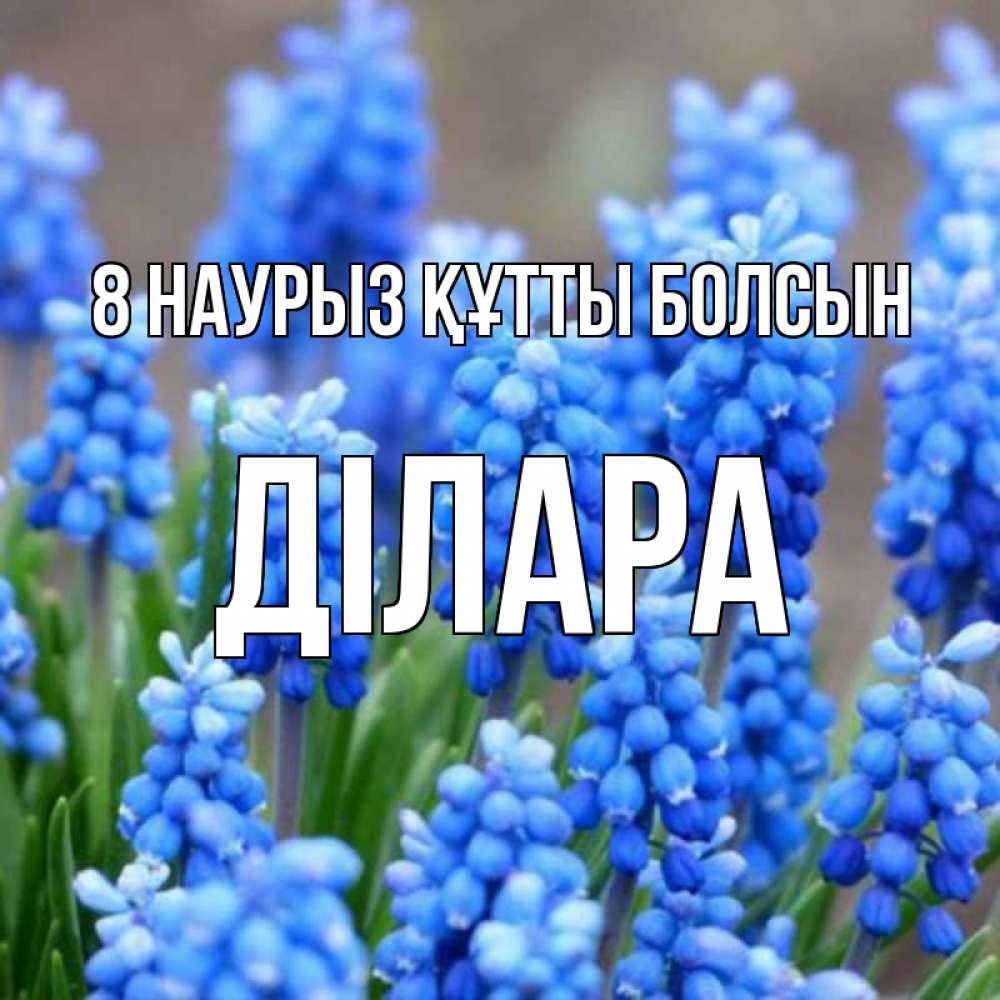 Күн сайын ашық хат с именем, ДІЛАРА 8 наурыз құтты болсын Поздравительная открытка для женщин с цветами на праздничную дату Онлайн тегін жүктеп алу тілектері бар керемет карта 
