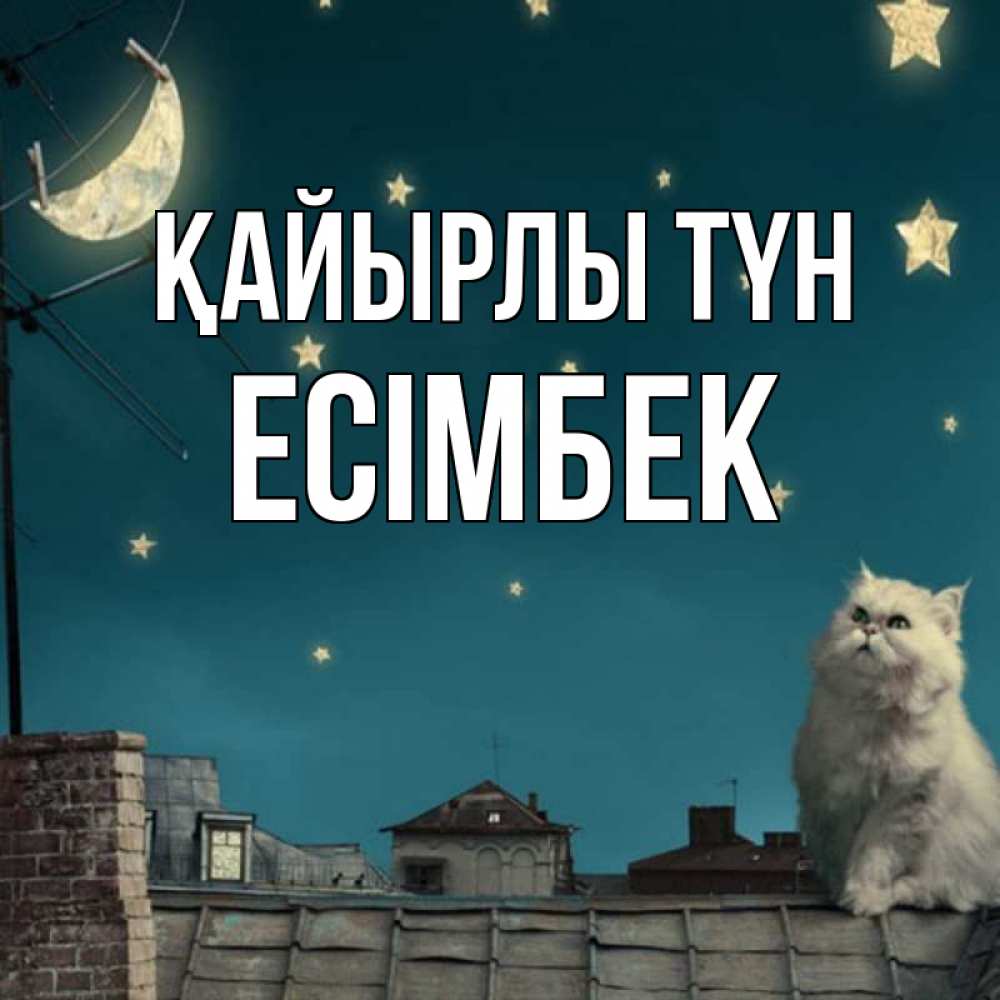 Күн сайын ашық хат с именем, Есімбек Қайырлы түн белый кот сидит на крыше Онлайн тегін жүктеп алу тілектері бар керемет карта 