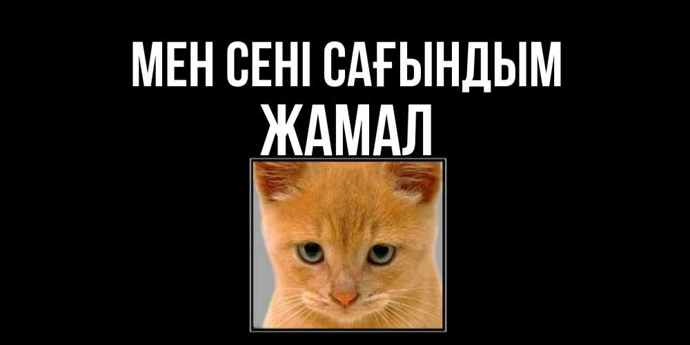 Күн сайын ашық хат с именем, ЖАМАЛ Мен сені сағындым открытки рыжий котенок скучает по тебе Онлайн тегін жүктеп алу тілектері бар керемет карта 