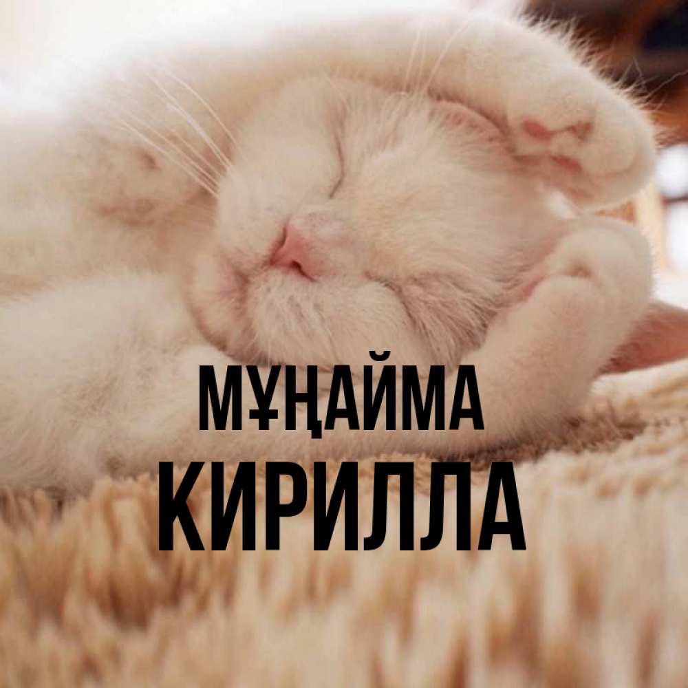 Күн сайын ашық хат с именем, Кирилла Мұңайма Котенок спит Онлайн тегін жүктеп алу тілектері бар керемет карта 