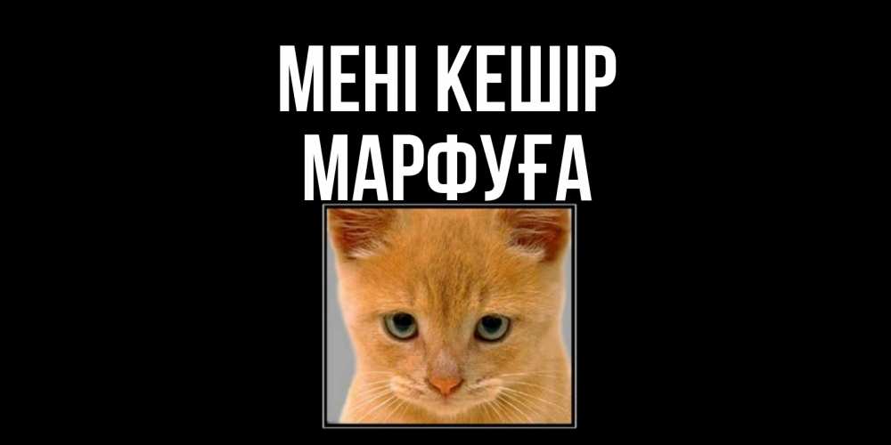 Күн сайын ашық хат с именем, МАРФУҒА Мені кешір рыжий грустный кот просит прощения Онлайн тегін жүктеп алу тілектері бар керемет карта 