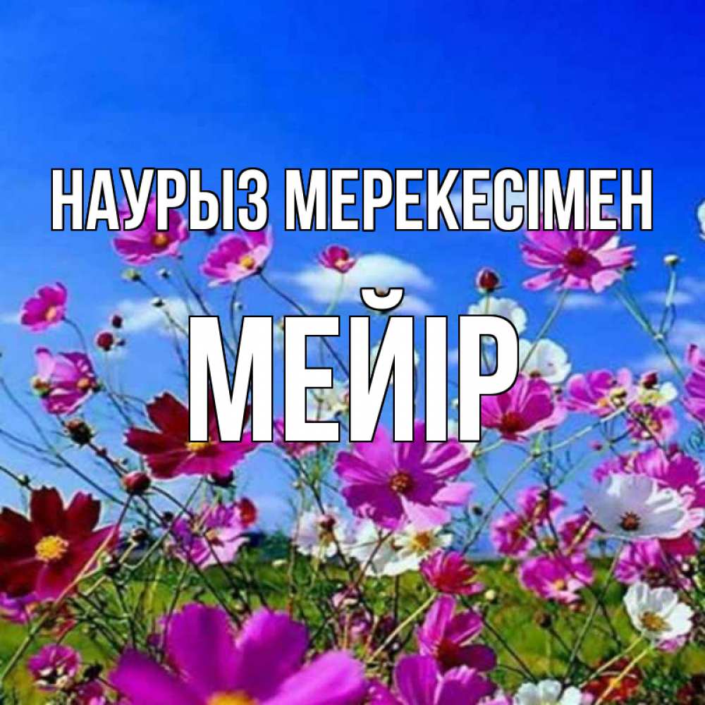 Күн сайын ашық хат с именем, МЕЙІР Наурыз мерекесімен цветы Онлайн тегін жүктеп алу тілектері бар керемет карта 