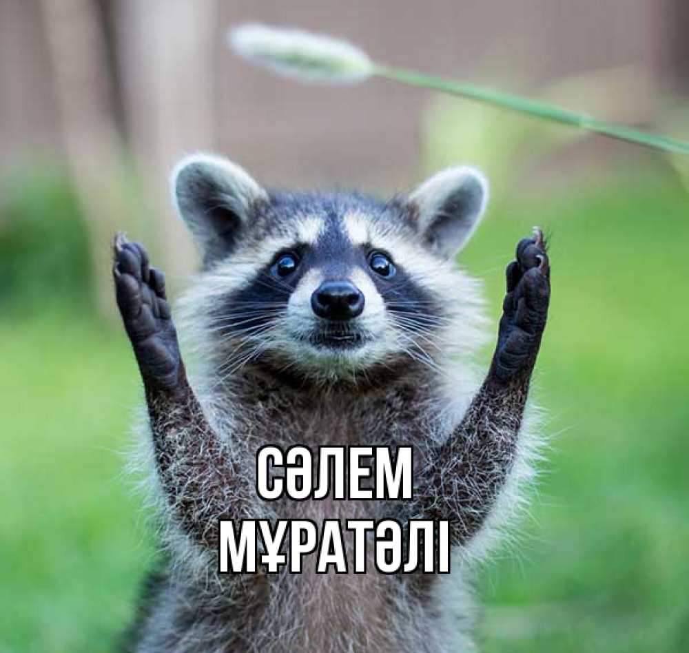 Күн сайын ашық хат с именем, Мұратәлі Сәлем животные Онлайн тегін жүктеп алу тілектері бар керемет карта 
