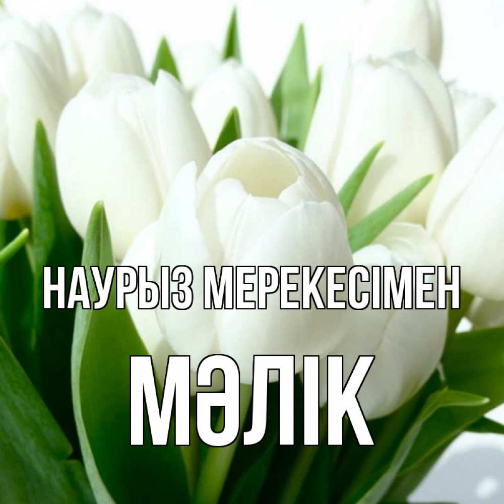 Күн сайын ашық хат с именем, МӘЛІК Наурыз мерекесімен цветы Онлайн тегін жүктеп алу тілектері бар керемет карта 
