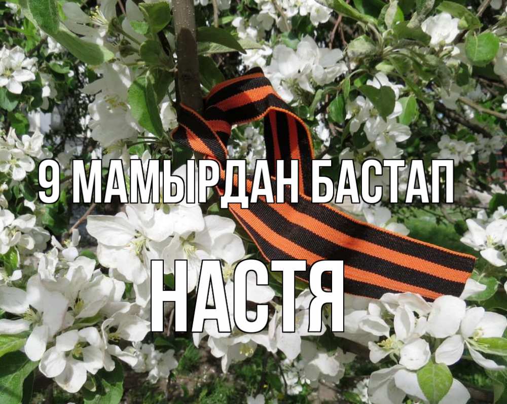 Күн сайын ашық хат с именем, Настя 9 мамырдан бастап 9 мая Онлайн тегін жүктеп алу тілектері бар керемет карта 