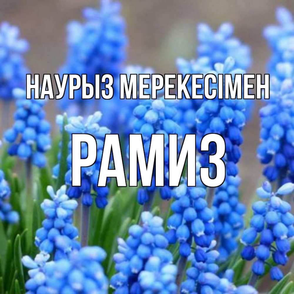 Күн сайын ашық хат с именем, РАМИЗ Наурыз мерекесімен Поздравительная открытка для женщин с цветами на праздничную дату Онлайн тегін жүктеп алу тілектері бар керемет карта 