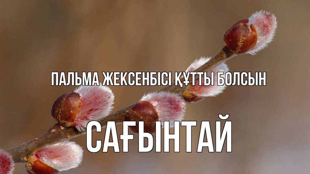 Күн сайын ашық хат с именем, Сағынтай Пальма жексенбісі құтты болсын верба Онлайн тегін жүктеп алу тілектері бар керемет карта 