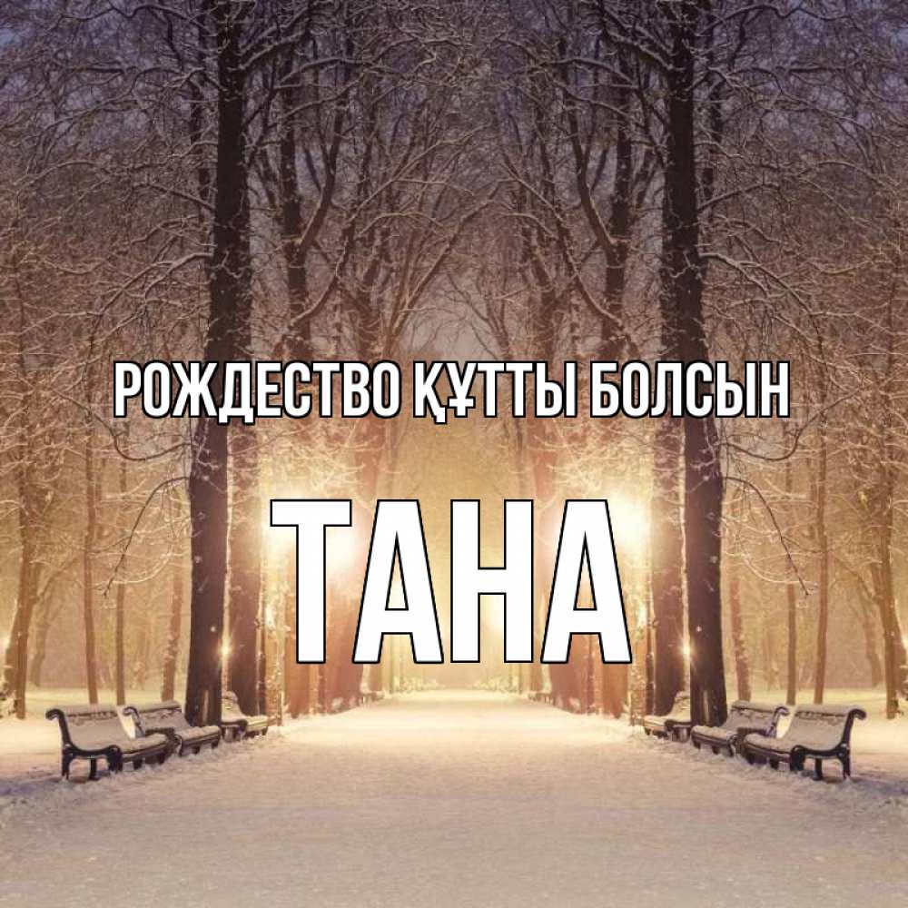 Күн сайын ашық хат с именем, ТАНА Рождество құтты болсын зима, парк, фонарь, лес Онлайн тегін жүктеп алу тілектері бар керемет карта 