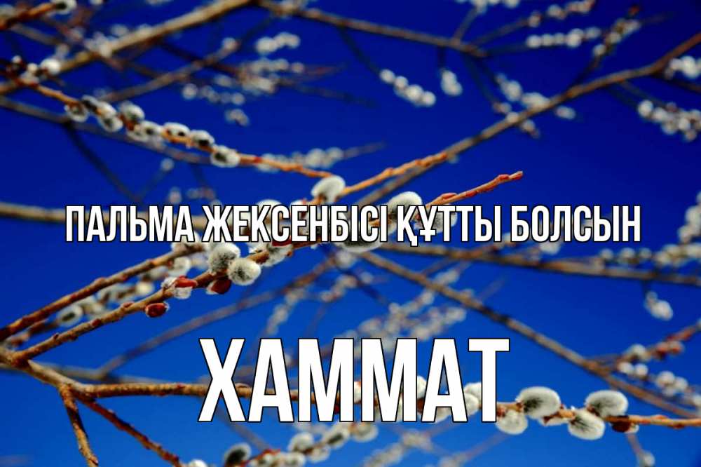 Күн сайын ашық хат с именем, ХАММАТ Пальма жексенбісі құтты болсын верба Онлайн тегін жүктеп алу тілектері бар керемет карта 
