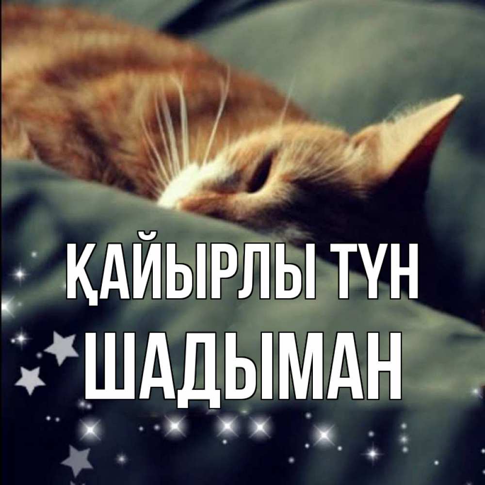 Күн сайын ашық хат с именем, ШАДЫМАН Қайырлы түн кроватка Онлайн тегін жүктеп алу тілектері бар керемет карта 
