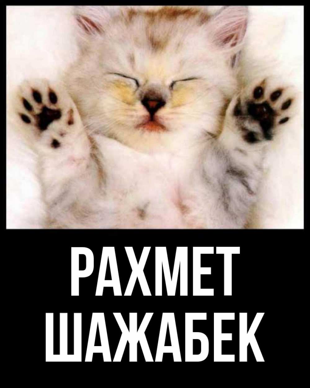 Күн сайын ашық хат с именем, ШАЖАБЕК рахмет маленький котенок Онлайн тегін жүктеп алу тілектері бар керемет карта 