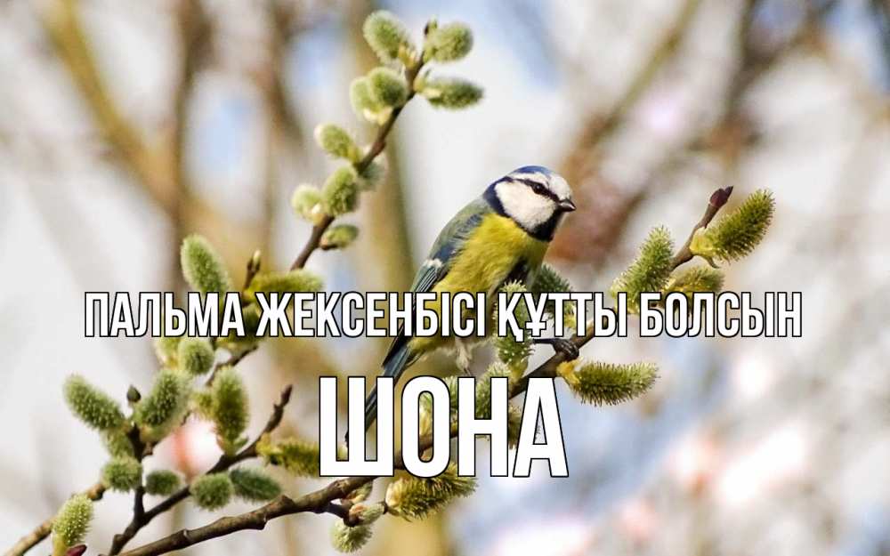 Күн сайын ашық хат с именем, ШОНА Пальма жексенбісі құтты болсын верба Онлайн тегін жүктеп алу тілектері бар керемет карта 