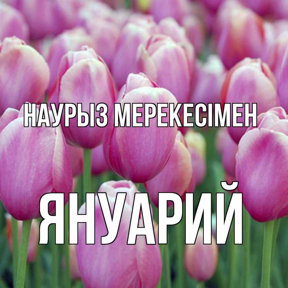 Күн сайын ашық хат с именем, Януарий Наурыз мерекесімен праздник весны наурыз 69 Онлайн тегін жүктеп алу тілектері бар керемет карта 