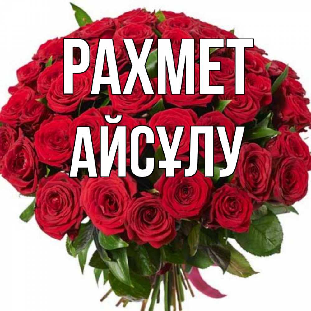 Күн сайын ашық хат с именем, АЙСҰЛУ рахмет букет красных роз Онлайн тегін жүктеп алу тілектері бар керемет карта 