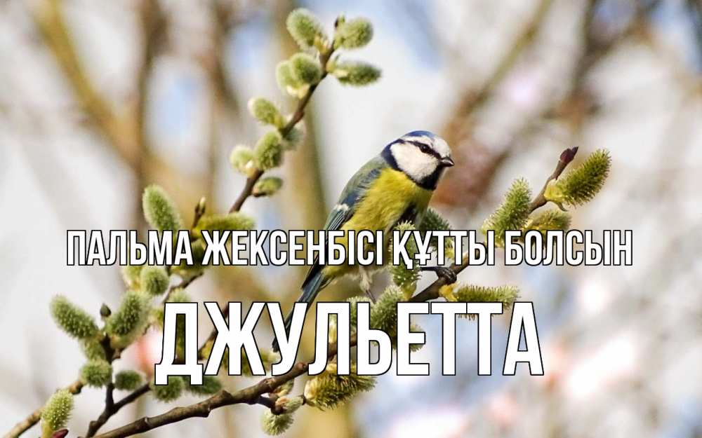Күн сайын ашық хат с именем, Джульетта Пальма жексенбісі құтты болсын верба Онлайн тегін жүктеп алу тілектері бар керемет карта 