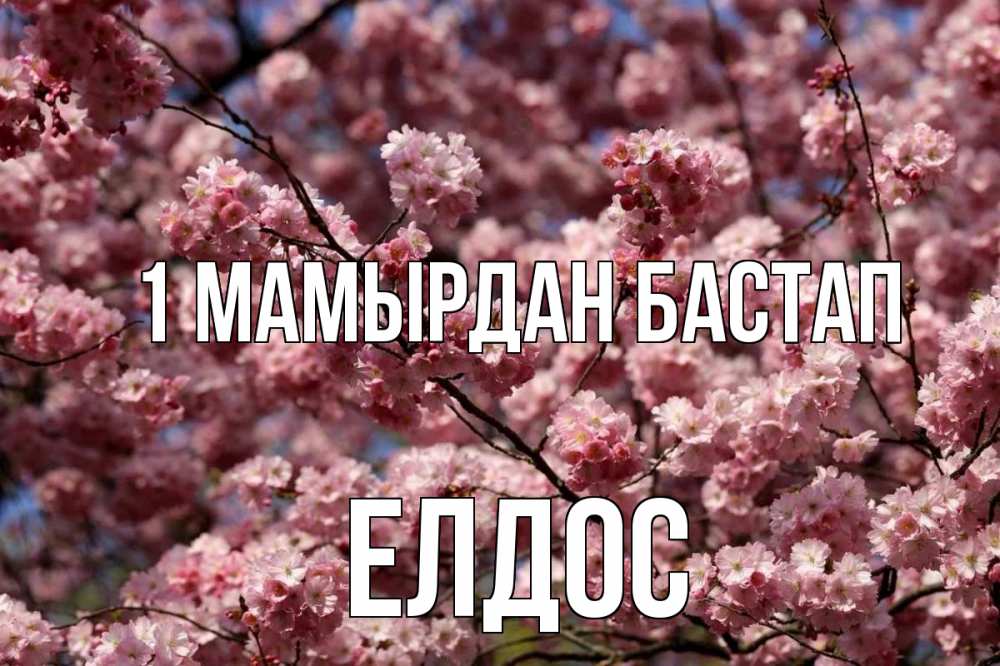 Күн сайын ашық хат с именем, Елдос 1 мамырдан бастап С 1 мая Онлайн тегін жүктеп алу тілектері бар керемет карта 