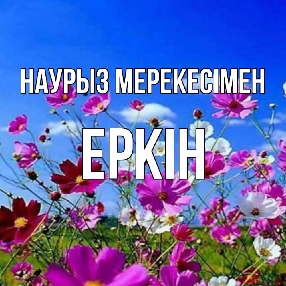 Күн сайын ашық хат с именем, Еркін Наурыз мерекесімен цветы Онлайн тегін жүктеп алу тілектері бар керемет карта 