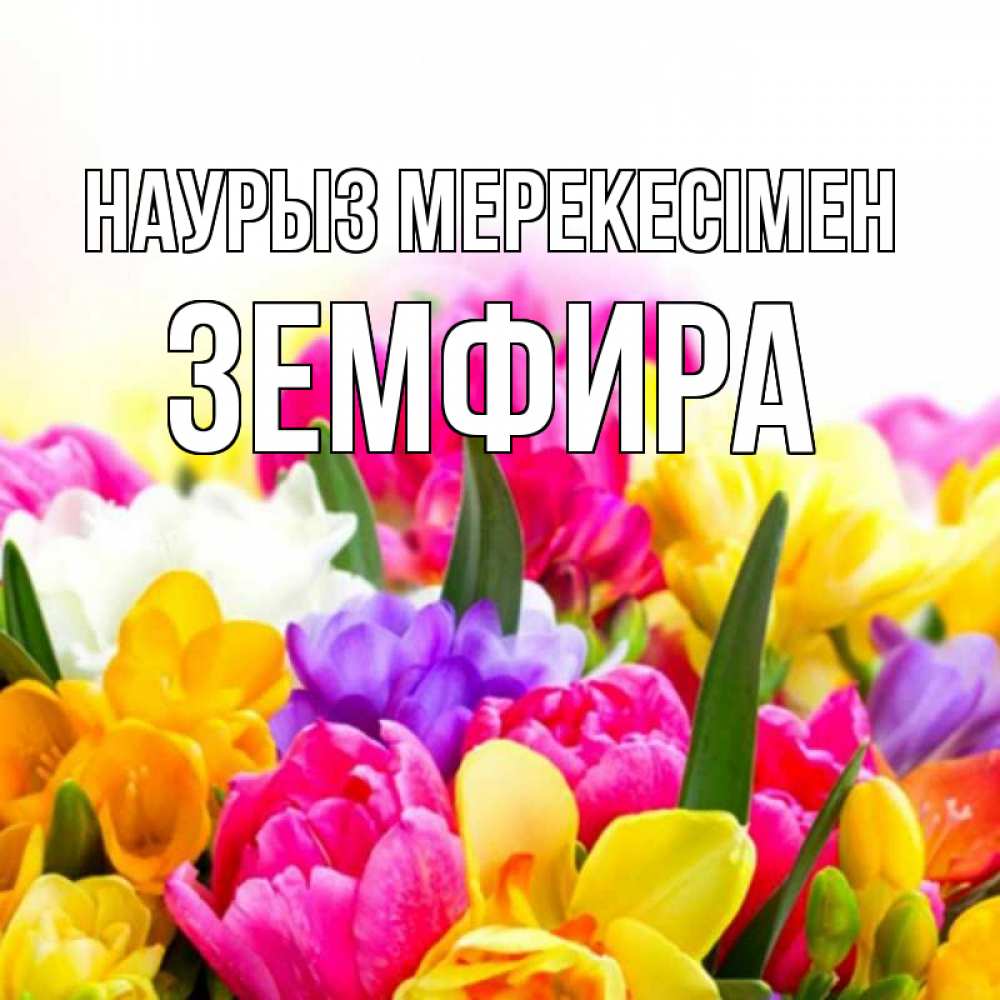 Күн сайын ашық хат с именем, ЗЕМФИРА Наурыз мерекесімен тюльпаны Онлайн тегін жүктеп алу тілектері бар керемет карта 