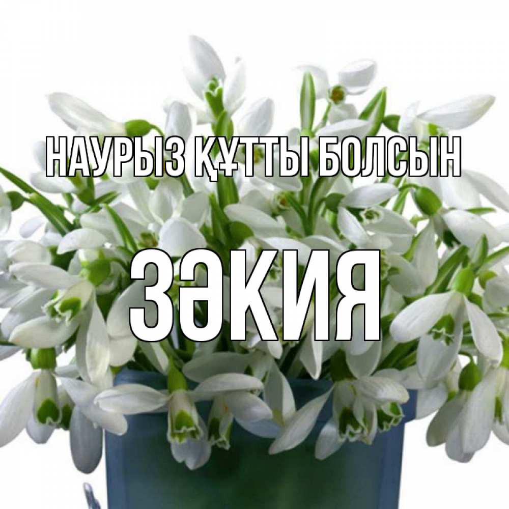 Күн сайын ашық хат с именем, ЗӘКИЯ Наурыз құтты болсын цветы к наурызу Онлайн тегін жүктеп алу тілектері бар керемет карта 