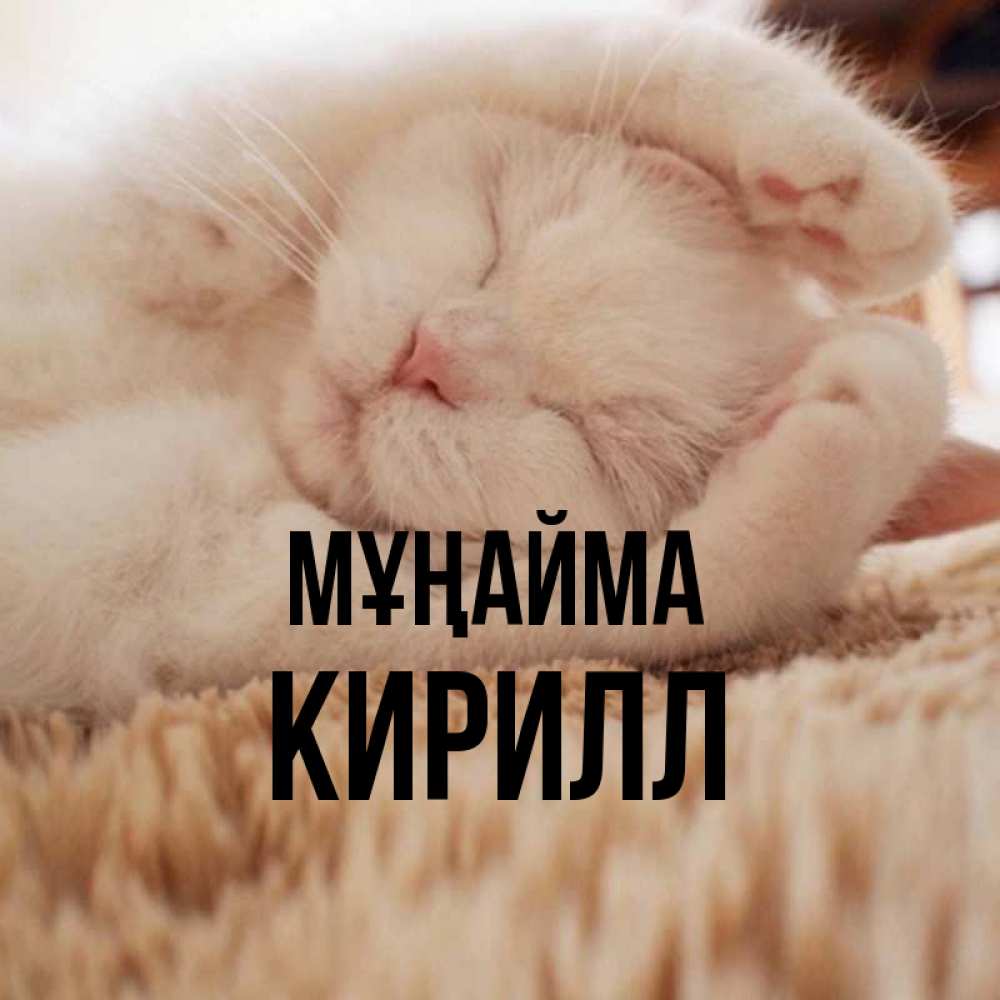 Күн сайын ашық хат с именем, Кирилл Мұңайма Котенок спит Онлайн тегін жүктеп алу тілектері бар керемет карта 