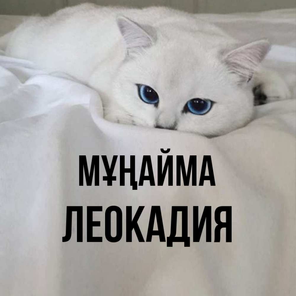 Күн сайын ашық хат с именем, Леокадия Мұңайма Голубоглазая кошка Онлайн тегін жүктеп алу тілектері бар керемет карта 