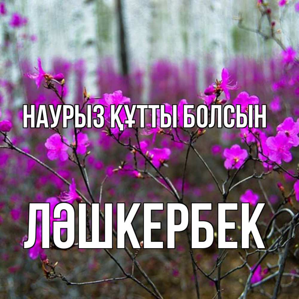 Күн сайын ашық хат с именем, ЛӘШКЕРБЕК Наурыз құтты болсын дикие цветы Онлайн тегін жүктеп алу тілектері бар керемет карта 