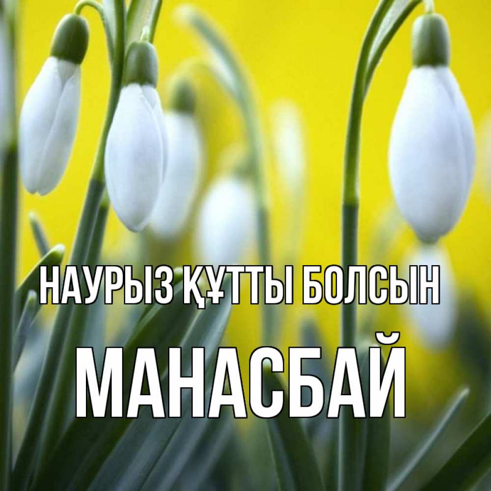 Күн сайын ашық хат с именем, МАНАСБАЙ Наурыз құтты болсын весенние цветы Онлайн тегін жүктеп алу тілектері бар керемет карта 