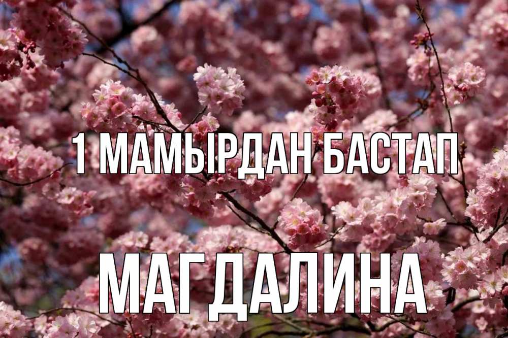 Күн сайын ашық хат с именем, Магдалина 1 мамырдан бастап С 1 мая Онлайн тегін жүктеп алу тілектері бар керемет карта 