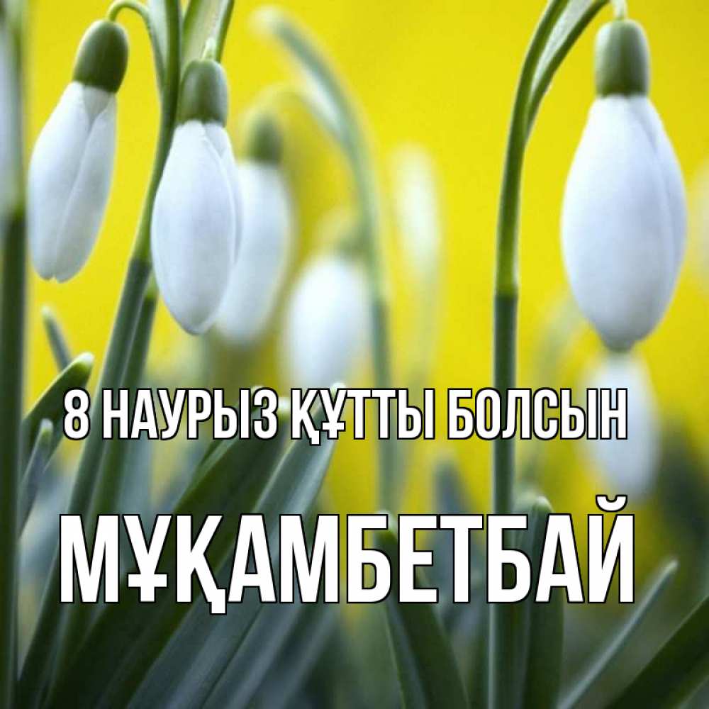 Күн сайын ашық хат с именем, Мұқамбетбай 8 наурыз құтты болсын весенние цветы Онлайн тегін жүктеп алу тілектері бар керемет карта 