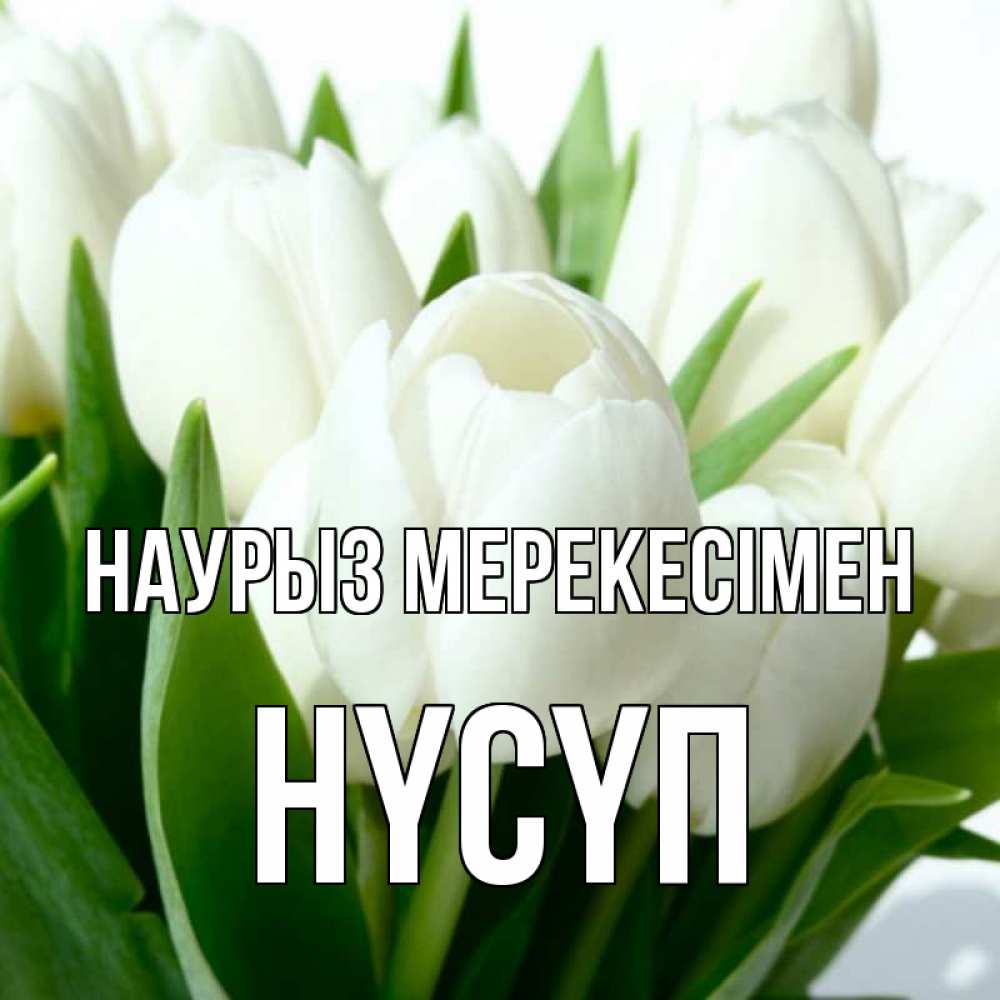Күн сайын ашық хат с именем, НҮСҮП Наурыз мерекесімен цветы Онлайн тегін жүктеп алу тілектері бар керемет карта 
